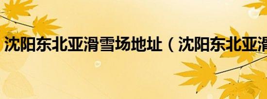 沈阳东北亚滑雪场地址（沈阳东北亚滑雪场）