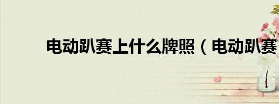 电动趴赛上什么牌照（电动趴赛）