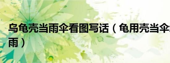 乌龟壳当雨伞看图写话（龟用壳当伞给小兔挡雨）