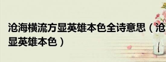 沧海横流方显英雄本色全诗意思（沧海横流方显英雄本色）
