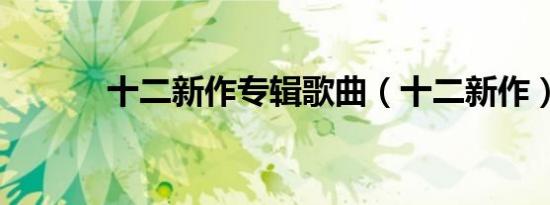 十二新作专辑歌曲（十二新作）