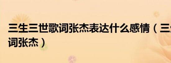 三生三世歌词张杰表达什么感情（三生三世歌词张杰）