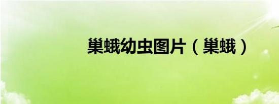 巢蛾幼虫图片（巢蛾）