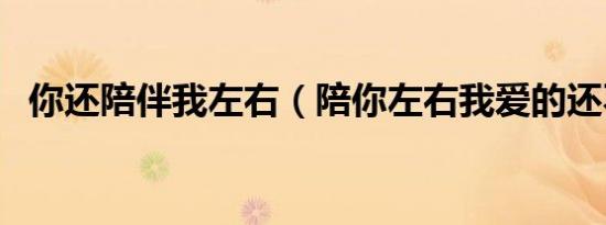 你还陪伴我左右（陪你左右我爱的还不够）