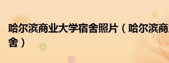 哈尔滨商业大学宿舍照片（哈尔滨商业大学宿舍）