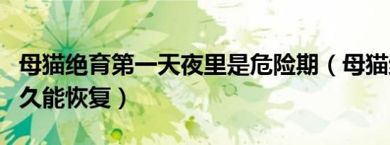 母猫绝育第一天夜里是危险期（母猫绝育后多久能恢复）
