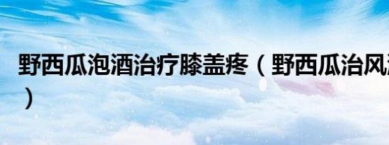 野西瓜泡酒治疗膝盖疼（野西瓜治风湿的用法）
