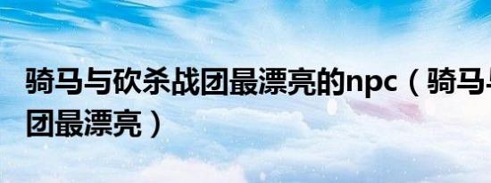 骑马与砍杀战团最漂亮的npc（骑马与砍杀战团最漂亮）