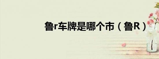 鲁r车牌是哪个市（鲁R）