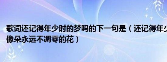 歌词还记得年少时的梦吗的下一句是（还记得年少时的梦吗 像朵永远不凋零的花）