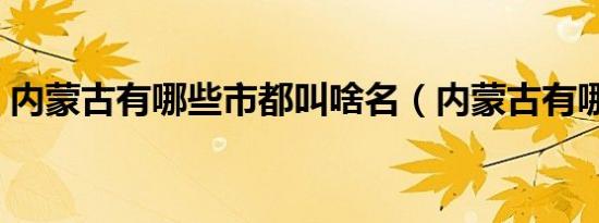 内蒙古有哪些市都叫啥名（内蒙古有哪些市）