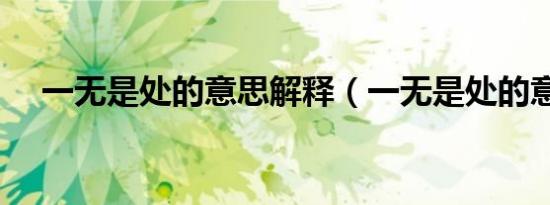 一无是处的意思解释（一无是处的意思）