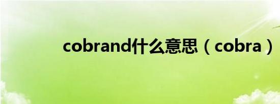 cobrand什么意思（cobra）