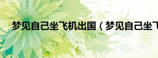 梦见自己坐飞机出国（梦见自己坐飞机）