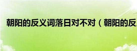 朝阳的反义词落日对不对（朝阳的反义词）