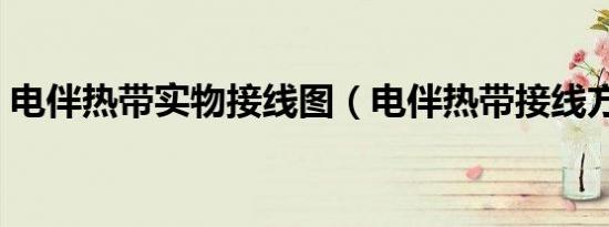 电伴热带实物接线图（电伴热带接线方法图）