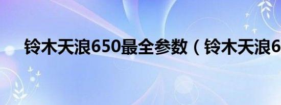 铃木天浪650最全参数（铃木天浪650）