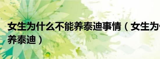 女生为什么不能养泰迪事情（女生为什么不能养泰迪）