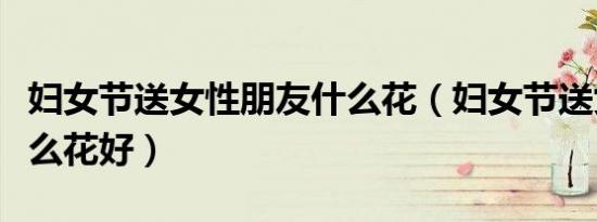 妇女节送女性朋友什么花（妇女节送女朋友什么花好）