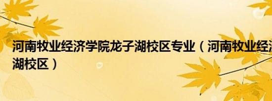 河南牧业经济学院龙子湖校区专业（河南牧业经济学院龙子湖校区）