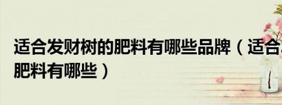 适合发财树的肥料有哪些品牌（适合发财树的肥料有哪些）