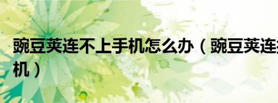 豌豆荚连不上手机怎么办（豌豆荚连接不上手机）