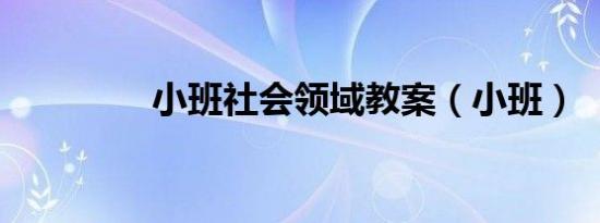 小班社会领域教案（小班）