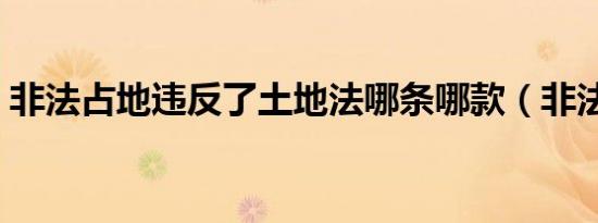 非法占地违反了土地法哪条哪款（非法占地）