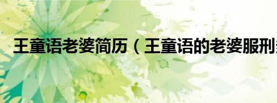 王童语老婆简历（王童语的老婆服刑多久）