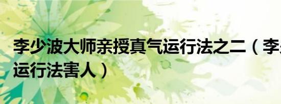 李少波大师亲授真气运行法之二（李少波真气运行法害人）