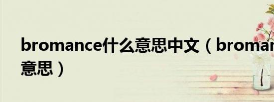 bromance什么意思中文（bromance什么意思）