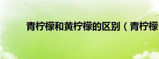 青柠檬和黄柠檬的区别（青柠檬）