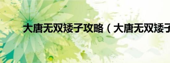 大唐无双矮子攻略（大唐无双矮子）