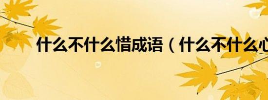 什么不什么惜成语（什么不什么心）