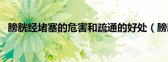 膀胱经堵塞的危害和疏通的好处（膀胱经）