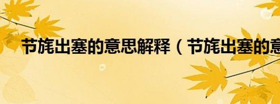 节旄出塞的意思解释（节旄出塞的意思）