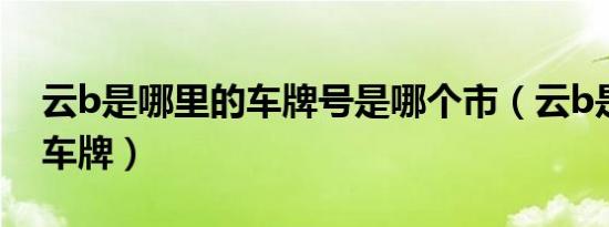 云b是哪里的车牌号是哪个市（云b是哪里的车牌）