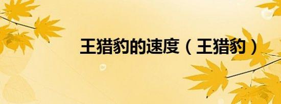 王猎豹的速度（王猎豹）