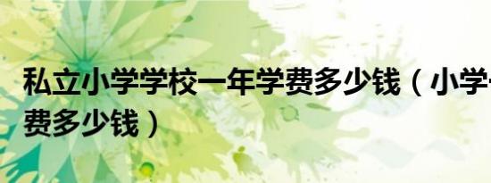 私立小学学校一年学费多少钱（小学一年级学费多少钱）