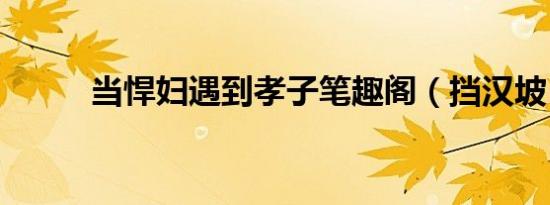 当悍妇遇到孝子笔趣阁（挡汉坡）