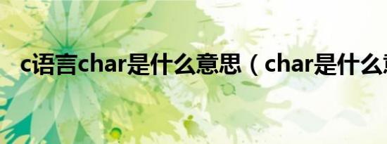 c语言char是什么意思（char是什么意思）