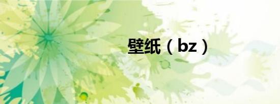 壁纸（bz）