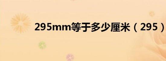 295mm等于多少厘米（295）