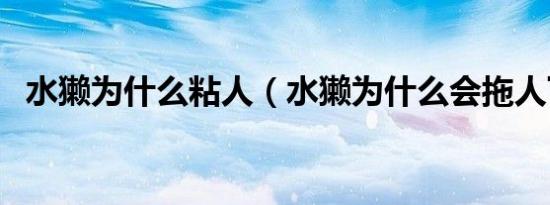 水獭为什么粘人（水獭为什么会拖人下水）