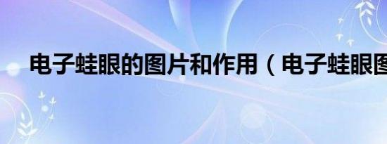 电子蛙眼的图片和作用（电子蛙眼图片）