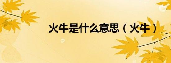 火牛是什么意思（火牛）