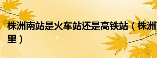 株洲南站是火车站还是高铁站（株洲南站在哪里）