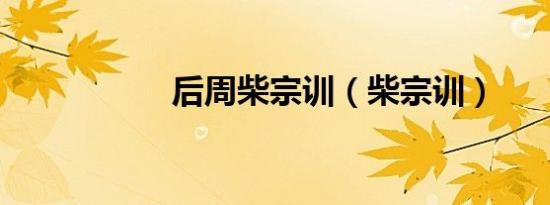 后周柴宗训（柴宗训）