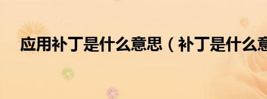 应用补丁是什么意思（补丁是什么意思）