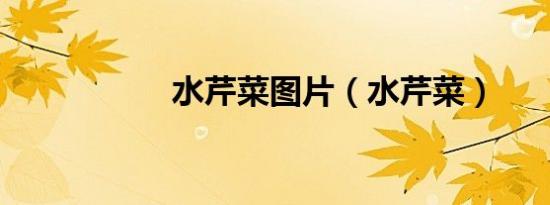 水芹菜图片（水芹菜）